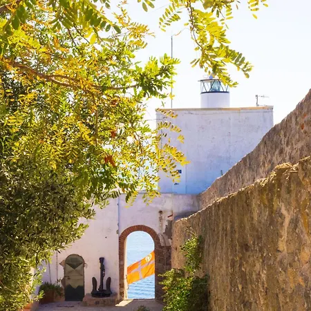 イル テラモニーオ