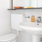 Il Telamonio 3*
